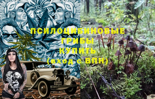 синтетический гашиш Пролетарск