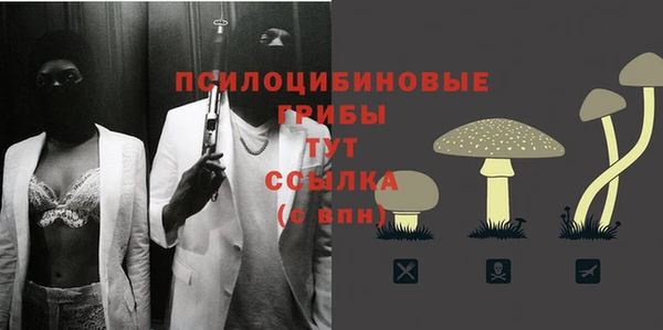 дурь Алзамай