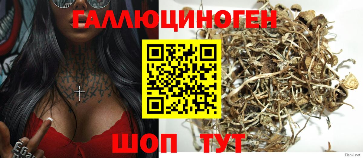 Северодвинск  Псилоцибиновые грибы мицелий  Вход с VPN  Псилоцибиновые грибы мицелий 