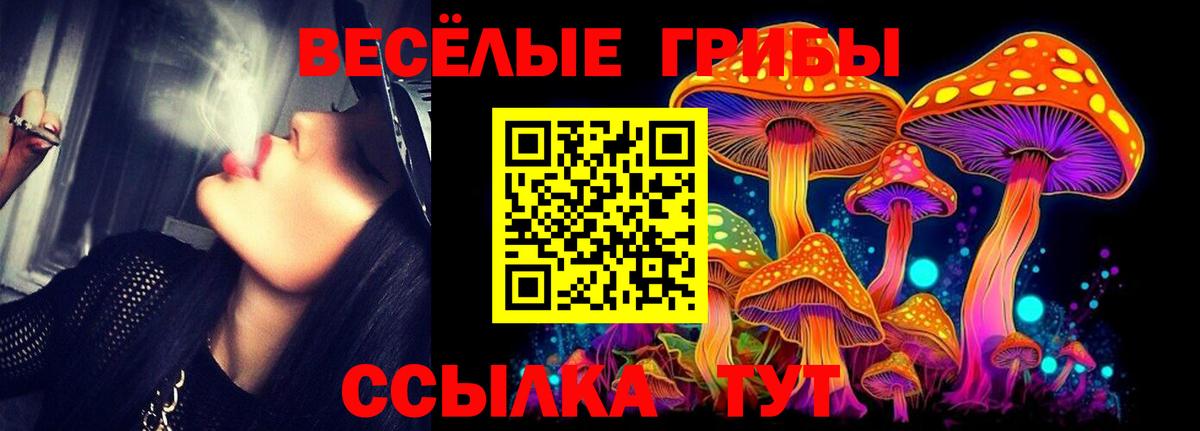 Псилоцибиновые грибы прущие грибы Северодвинск